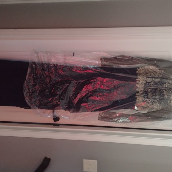 Elegant xcape Jewel Neck Long Sleeve Gown. . - Picture 8 of 8